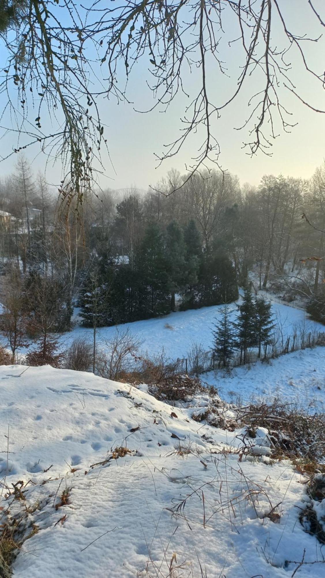 Apartamenty Warka Buitenkant foto