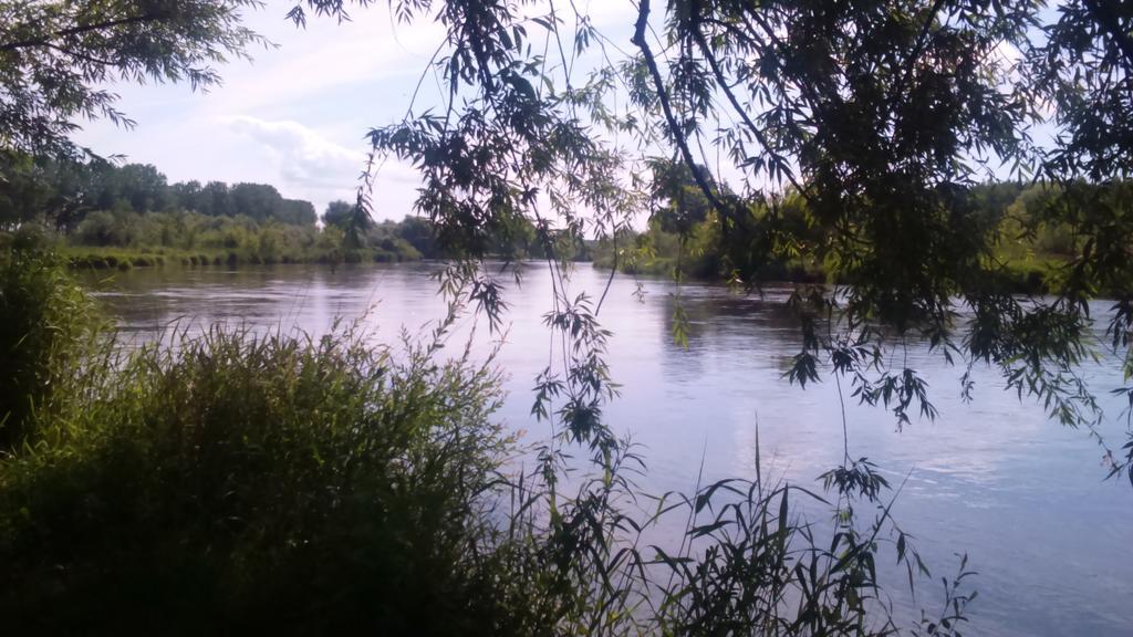 Apartamenty Warka Buitenkant foto